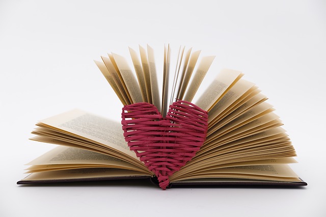srdce u knihy